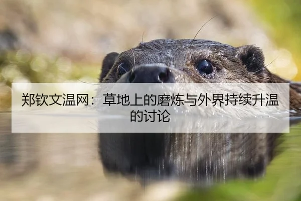 郑钦文温网：草地上的磨炼与外界持续升温的讨论